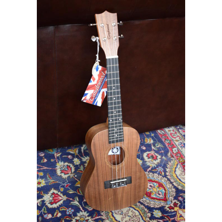 Tanglewood Tiare TWT3 concert ukulele