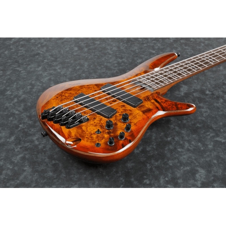 Ibanez SRMS805-BTT Bass Workshop