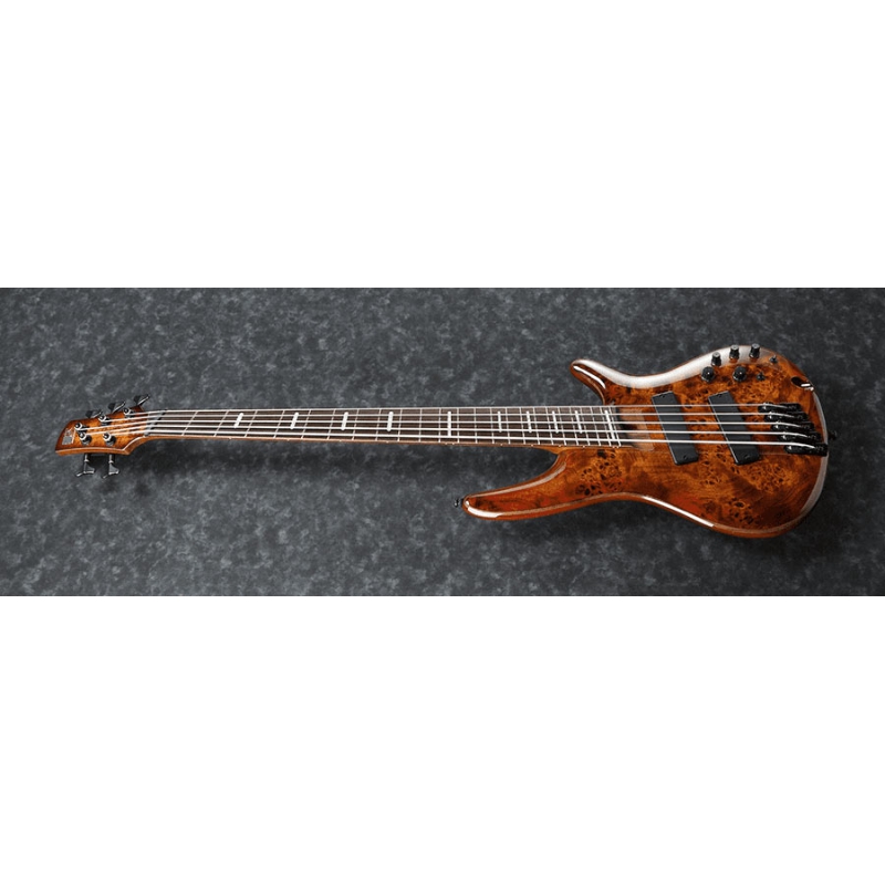 Ibanez SRMS805-BTT Bass Workshop