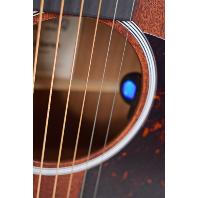 Martin D-10E Sapele