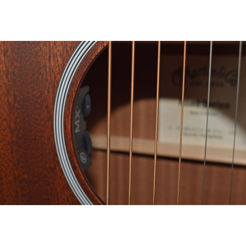 Martin D-10E Sapele