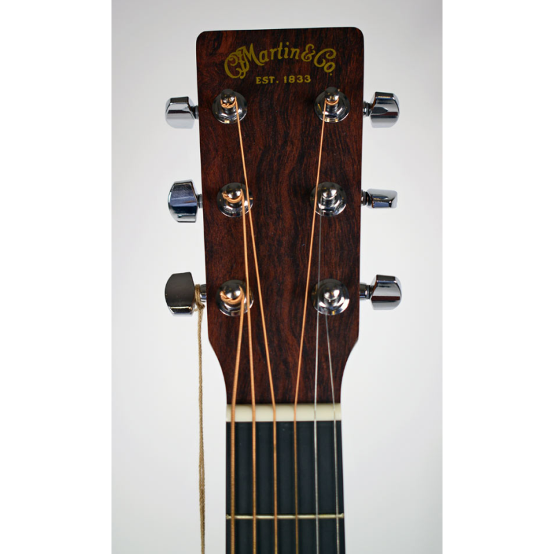 Martin D-10E Sapele