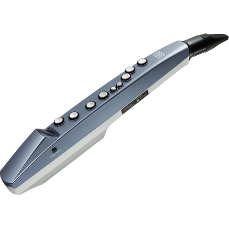 Roland Aerophone mini AE-01