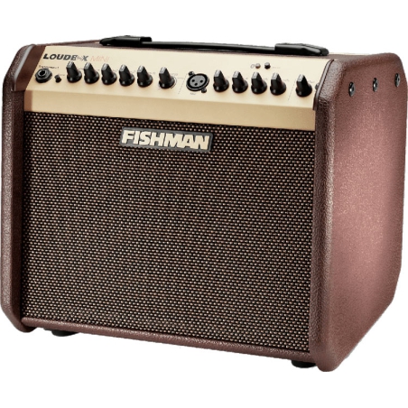 Fishman Loudbox Mini LBT-500 bluetooth