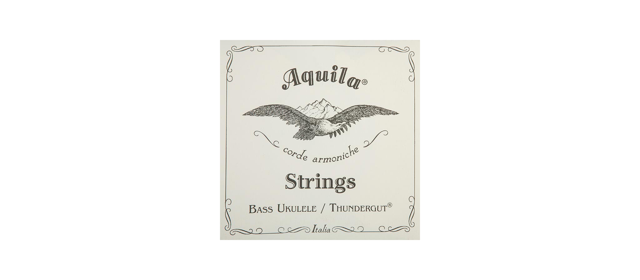 Aquila Bass ukulele Thundergut strings Dijkmanmuziek