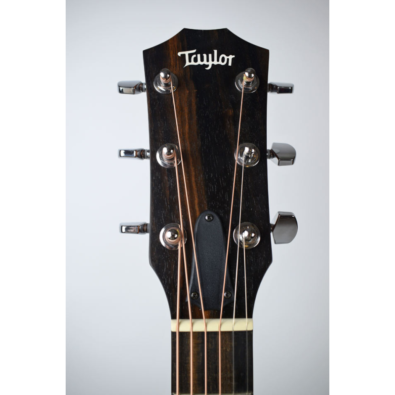Taylor 210CE rosewood