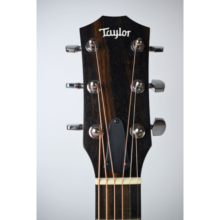 Taylor 210CE rosewood