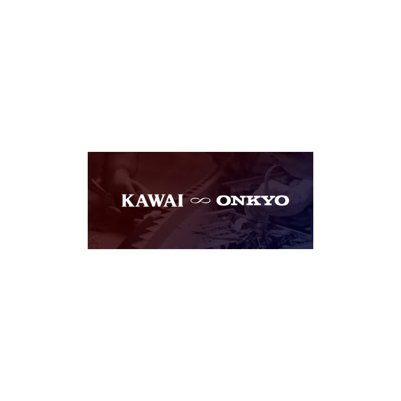 Kawai DG30 PE Digitale Vleugel