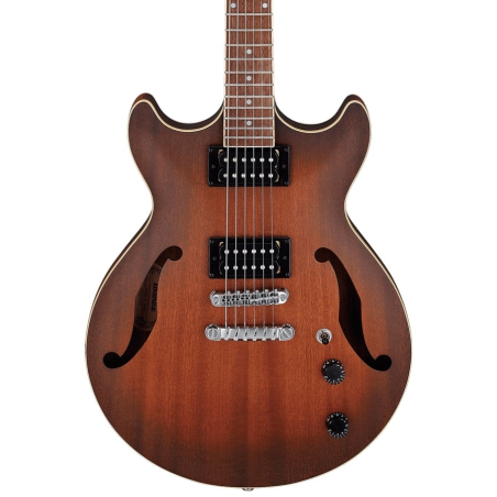 Ibanez AM53-TF Hollow Body Gitaar