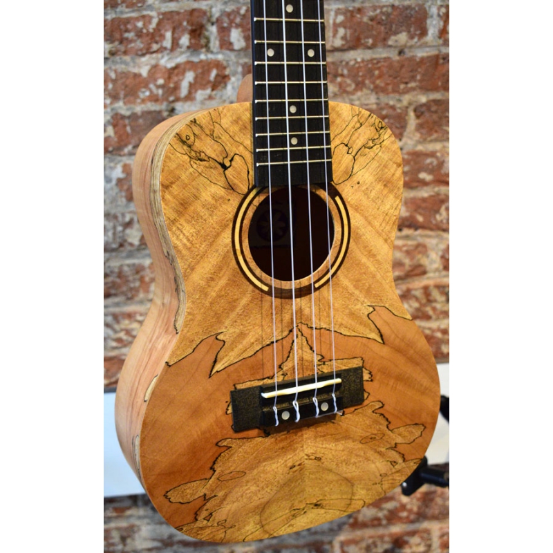 Tanglewood Tiare TWT10 Concert ukulele Spalt Maple