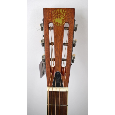 Royall SPD14 wooden body single cone SPIDER Resonator