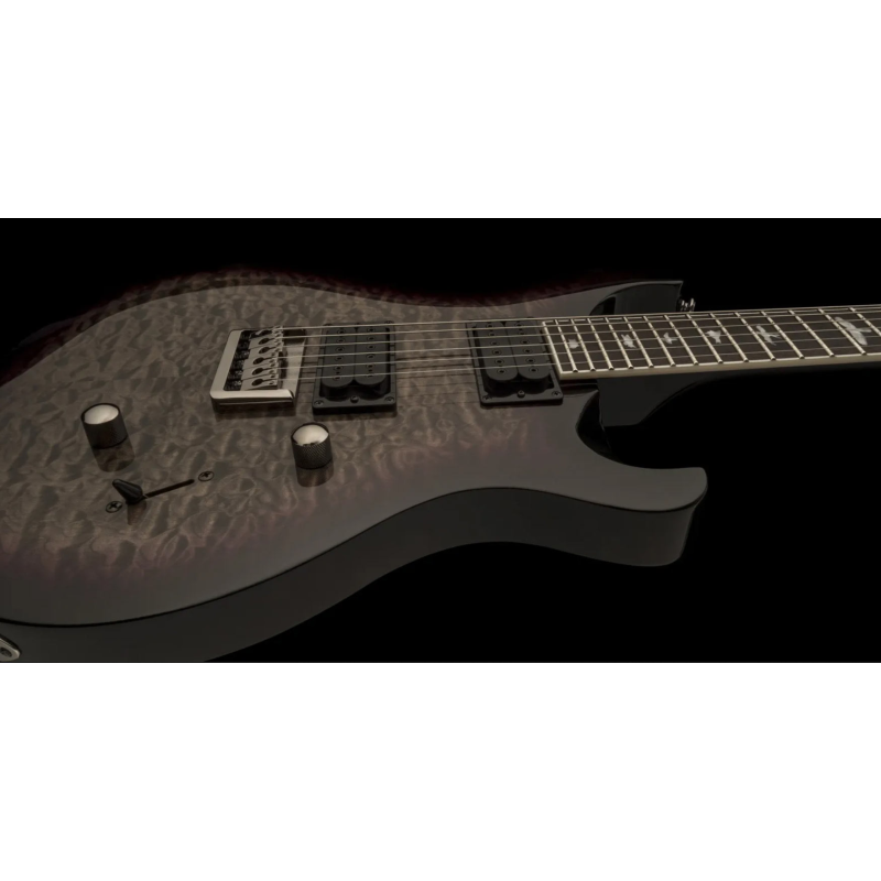 PRS SE Mark Holcomb HB