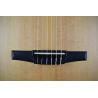 Taylor Academy 12-N LH nylon Taylor Academy 12-N LH nylon