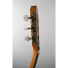 Taylor Academy 12-N LH nylon Taylor Academy 12-N LH nylon