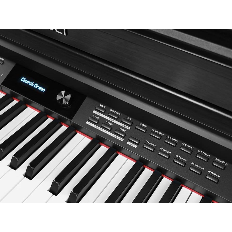 Medeli DP460K B Black Digitale Home Piano