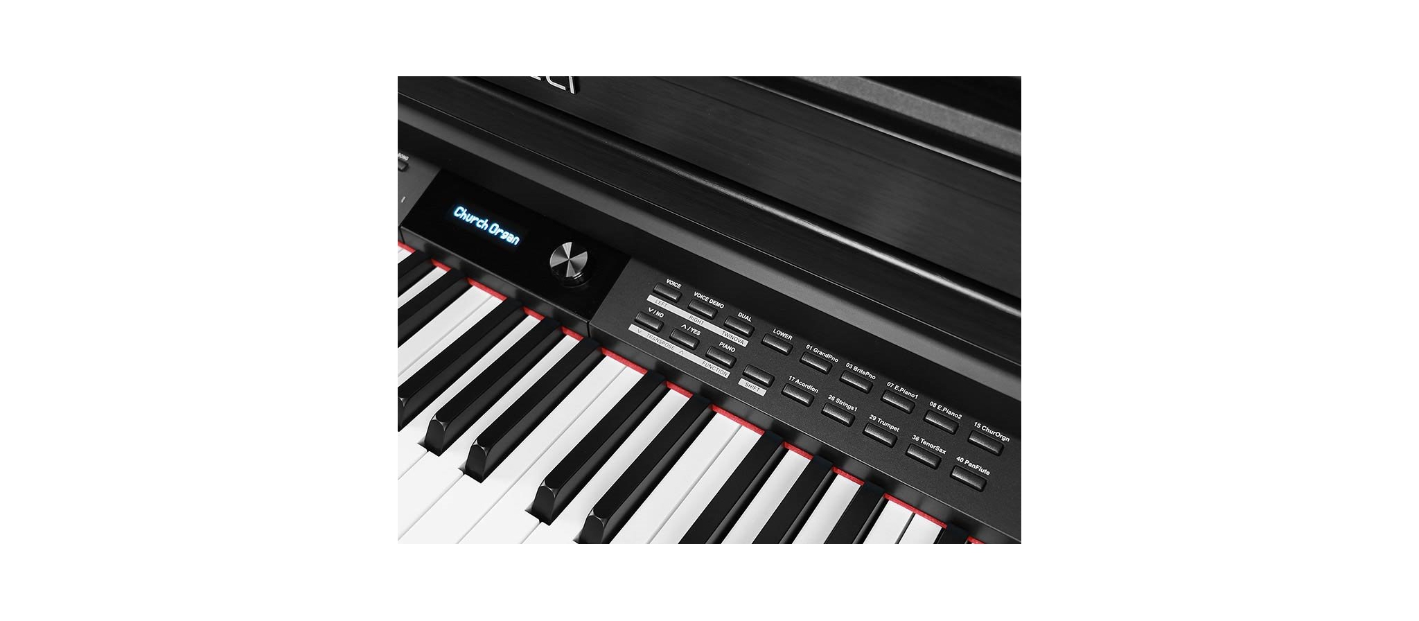 Medeli DP460K/B SET met Pianobank en hoofdtel| Dijkmanmuziek