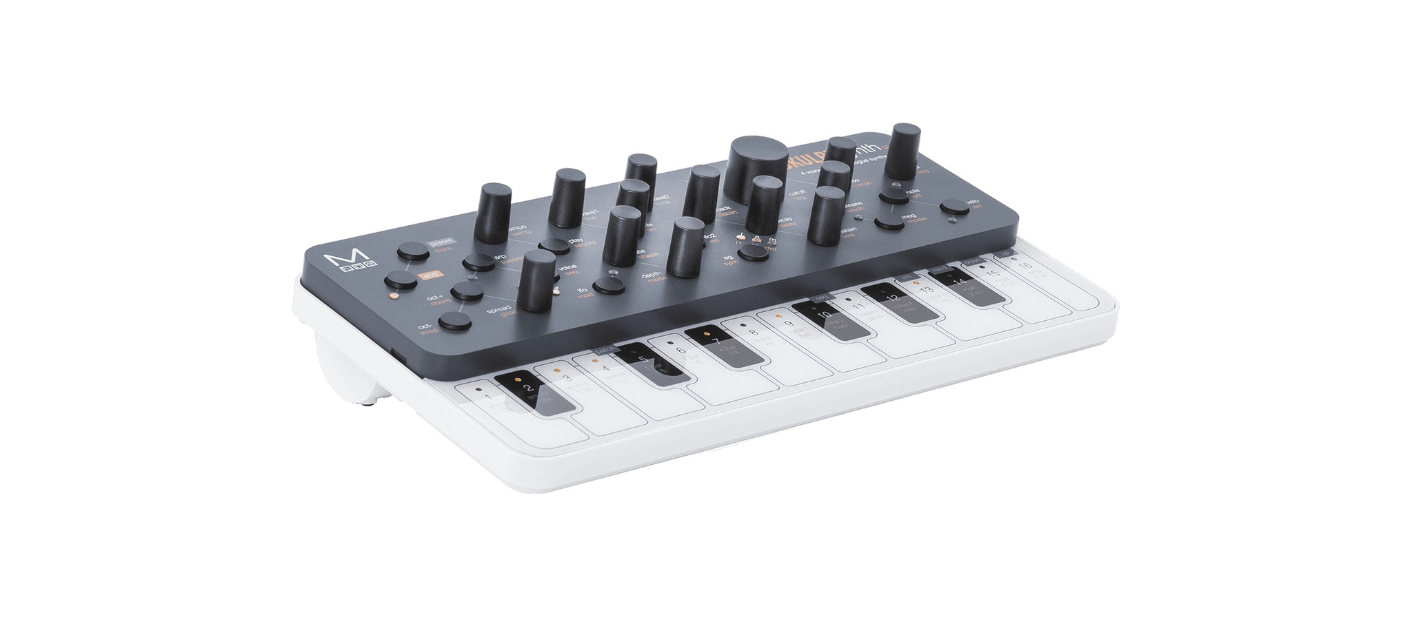 Modal electronics SKULPT SE synth|analoog| Dijkmanmuziek