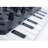 Modal electronics SKULPT SE synthesizer