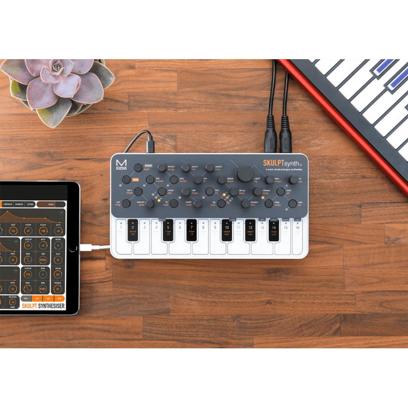 Modal electronics SKULPT SE synthesizer