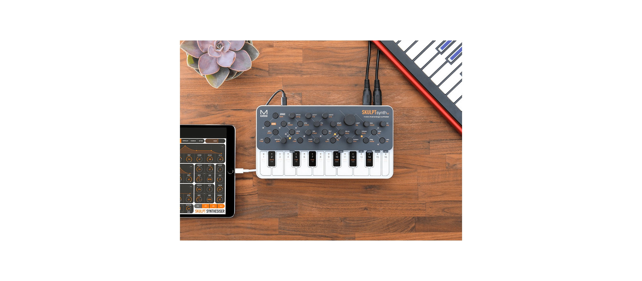 Modal electronics SKULPT シンセサイザー SKULPT Synthesiser - Modal Electronics - 有限会社 福産起業