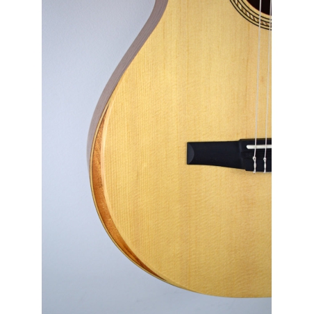 Taylor Academy 12E-N nylon