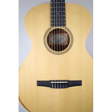 Taylor Academy 12E-N nylon