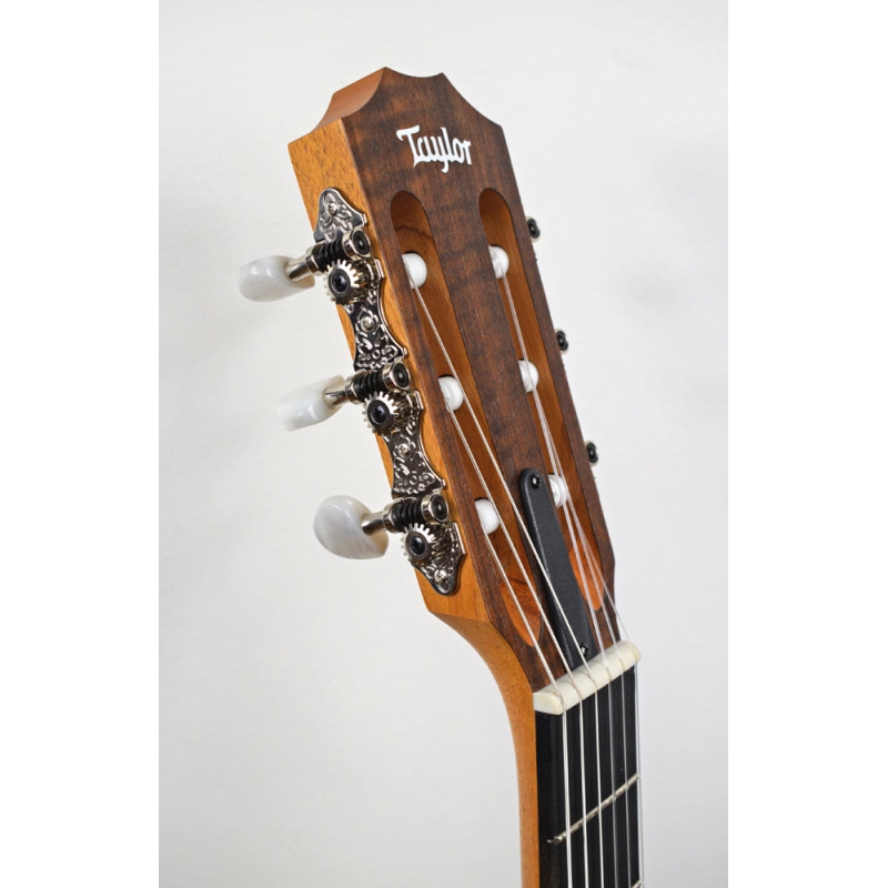 Taylor Academy 12E-N nylon