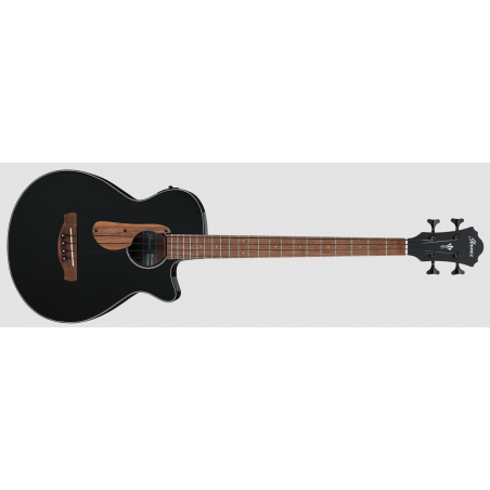 Ibanez AEGB24E-BKH Black High Gloss