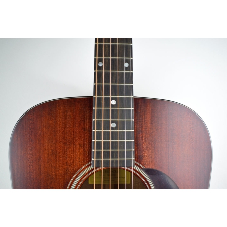 Eastman E1 D