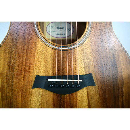 Taylor GS Mini-e KOA LH