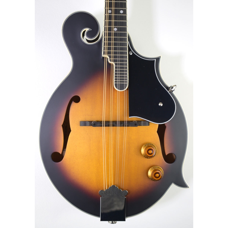 Washburn Americana M3E-Pack F-model