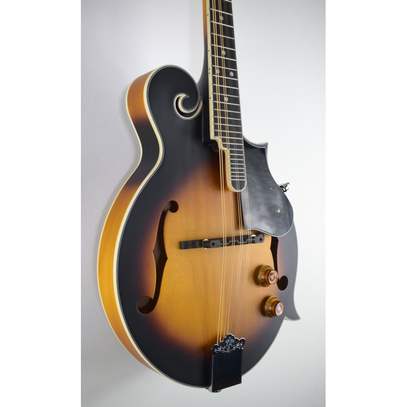 Washburn Americana M3E-Pack F-model