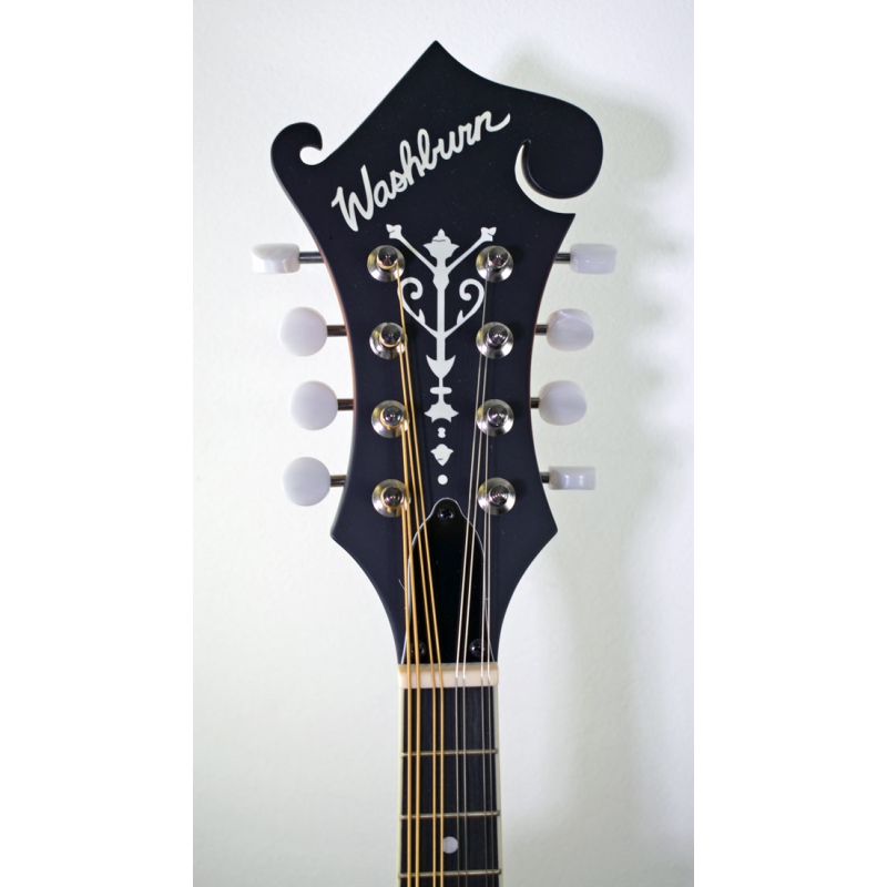 Washburn Americana M3E-Pack F-model