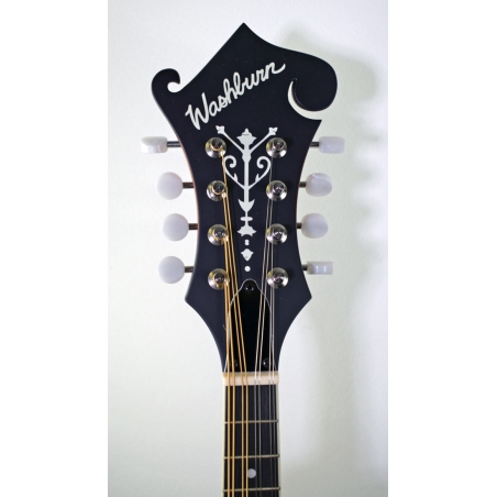 Washburn Americana M3E-Pack F-model