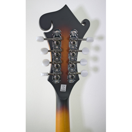 Washburn Americana M3E-Pack F-model