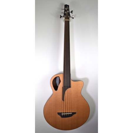 Stanford B 61 CM 5-string fretless bass