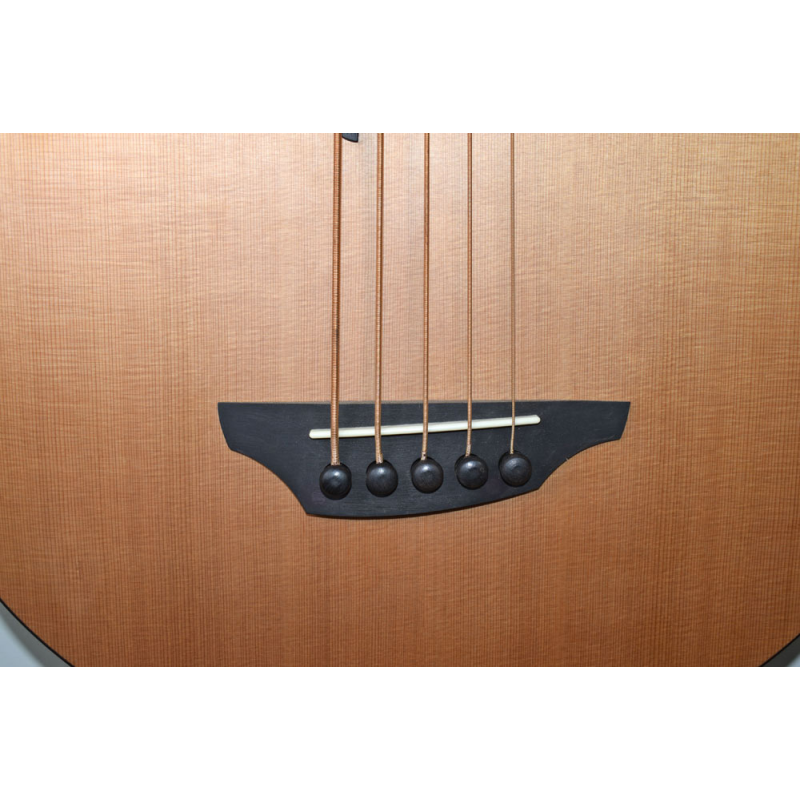 Stanford B 61 CM 5-string fretless bass