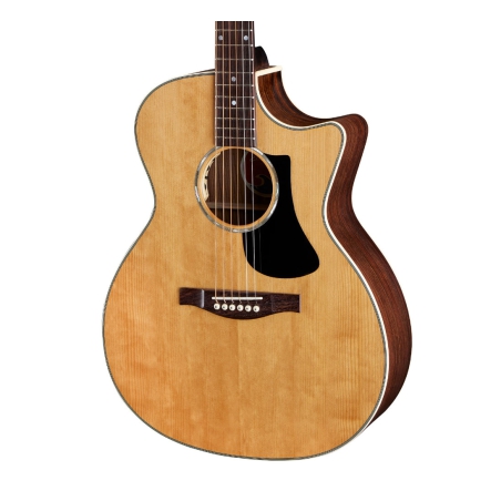 Eastman PCH2-GACE Natural