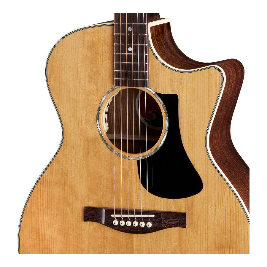 Eastman PCH2-GACE Natural