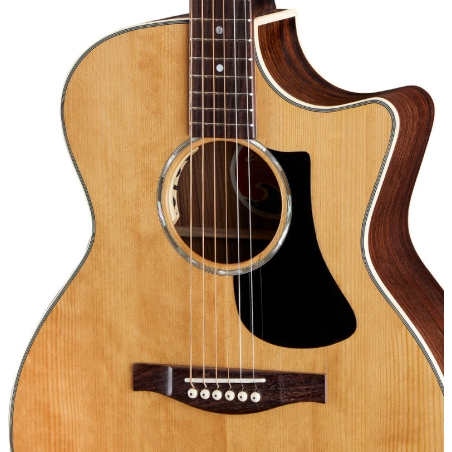 Eastman PCH2-GACE Natural