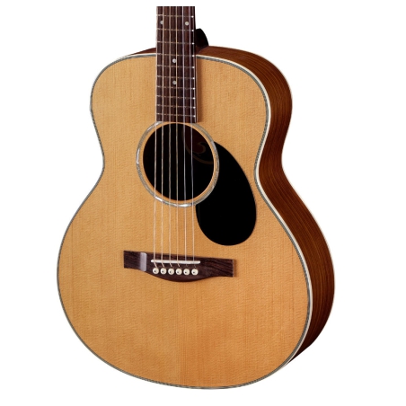 Eastman PCH2-TG natural