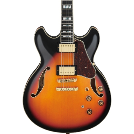 Ibanez AS113-BS Brown Sunburst