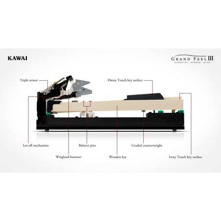 Kawai CA701 EP Digitale Home Piano