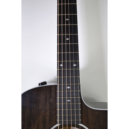 Taylor 214ce DLX Ltd Trans Grey top