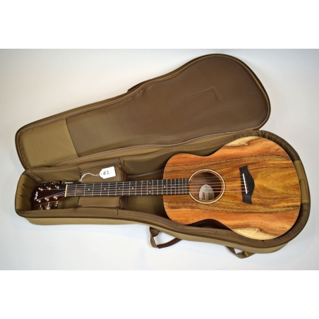 Taylor GS Mini-e KOA