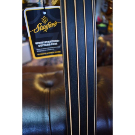 Stanford Big Sur 4 fretless bass