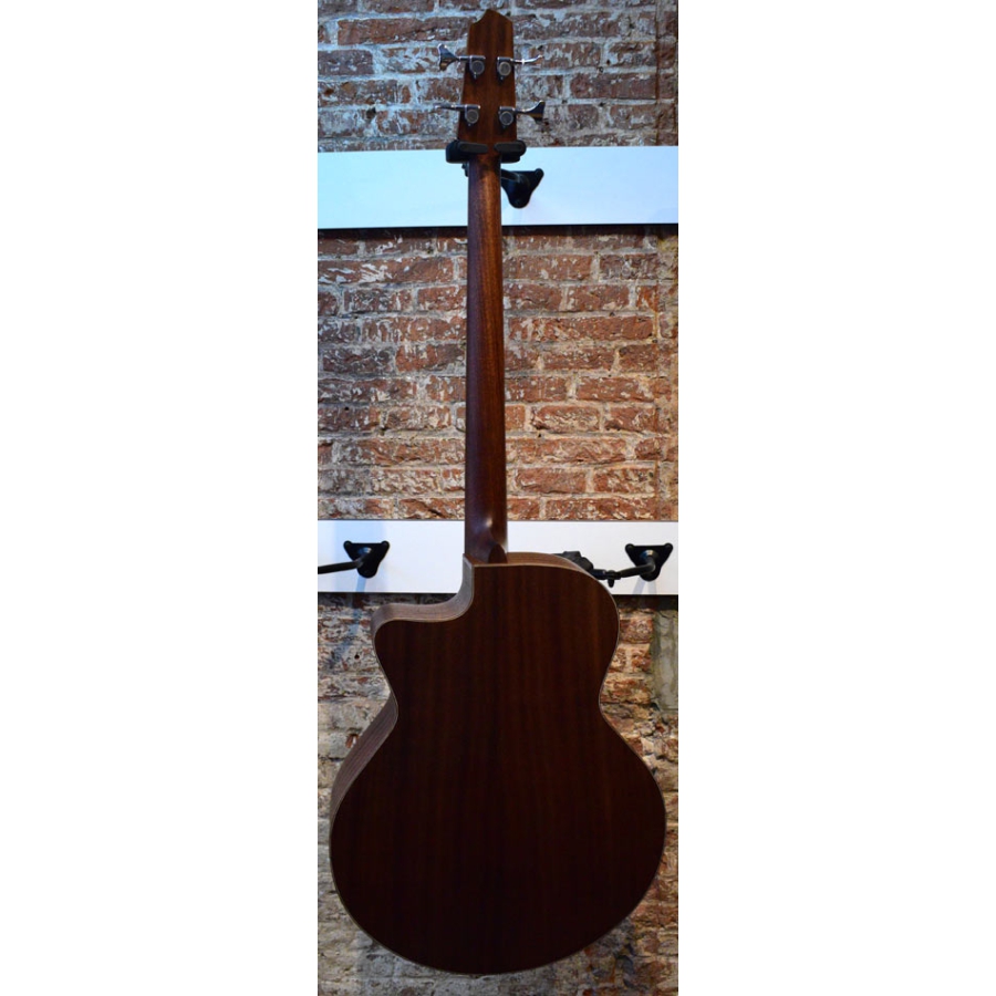 Stanford Big Sur 4 fretless bass