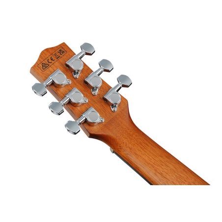 Ibanez EWP12EWB-OPN ukulele