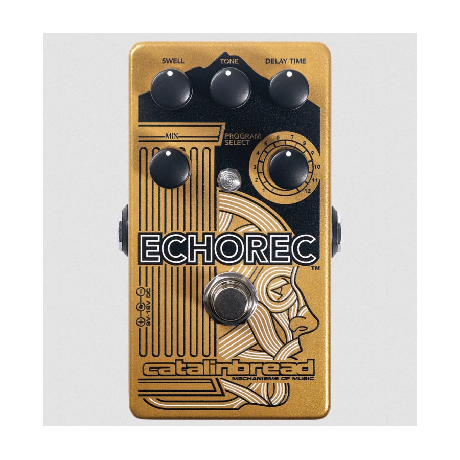 Catalinbread Echorec delay pedaal