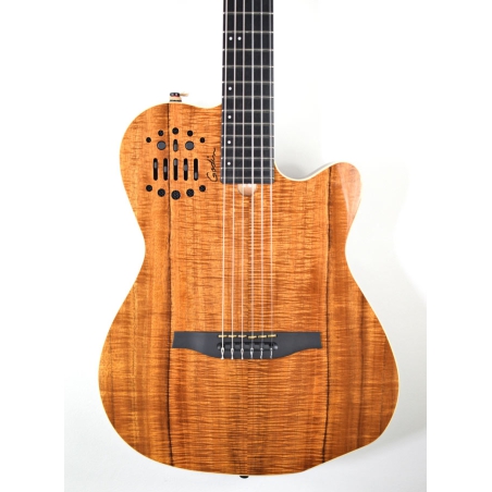 Godin ACS Nylon KOA Extreme HG